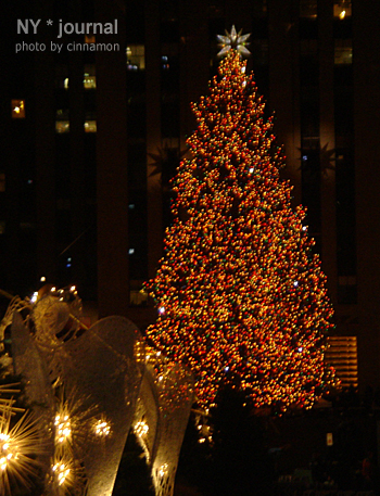 christmastree01.jpg