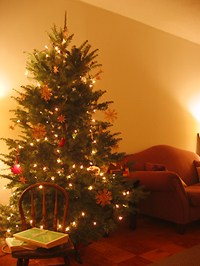 tree2006.jpg