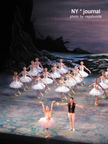 swanlake.jpg