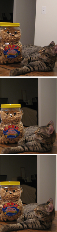 animal cracker02.jpg